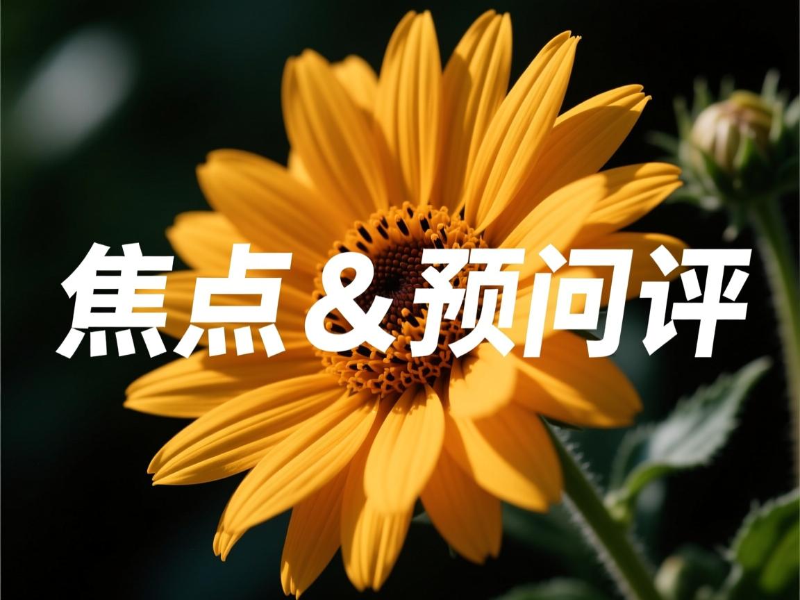 开云在线登入-校企合作推动篮球青训产业化，打造全国青少年训练网络，青少年篮球训练营的简介  第3张